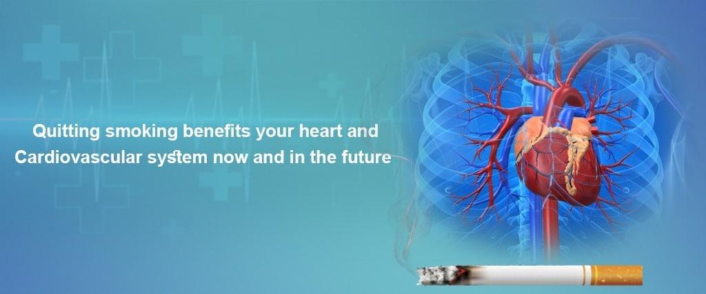 smoking-damages-the-structure-and-function-of-the-heart
