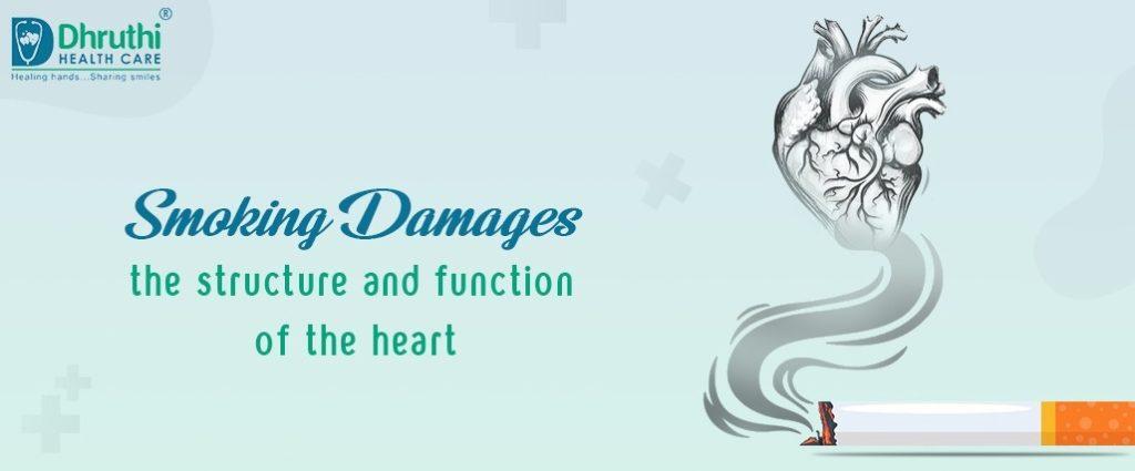 smoking-damages-the-structure-and-function-of-the-heart