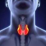 best-thyroid-hospital-in-guntur